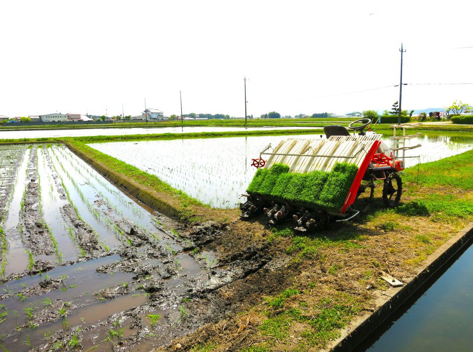 温度管理が築く安全な食文化